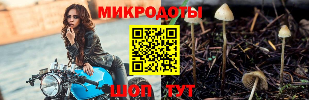 Псилоцибиновые грибы прущие грибы Качканар