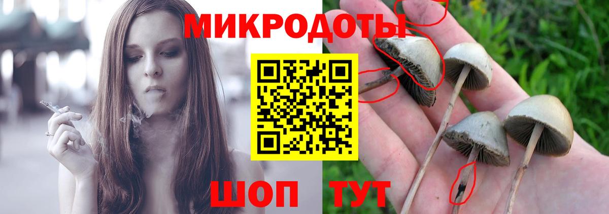 Качканар  Галлюциногенные грибы MAGIC MUSHROOMS  Вход с VPN 